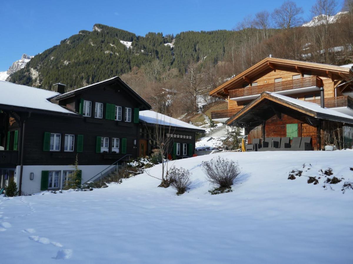 Apartment Chalet Schwendihus-6 By Interhome Гриндельвальд Экстерьер фото